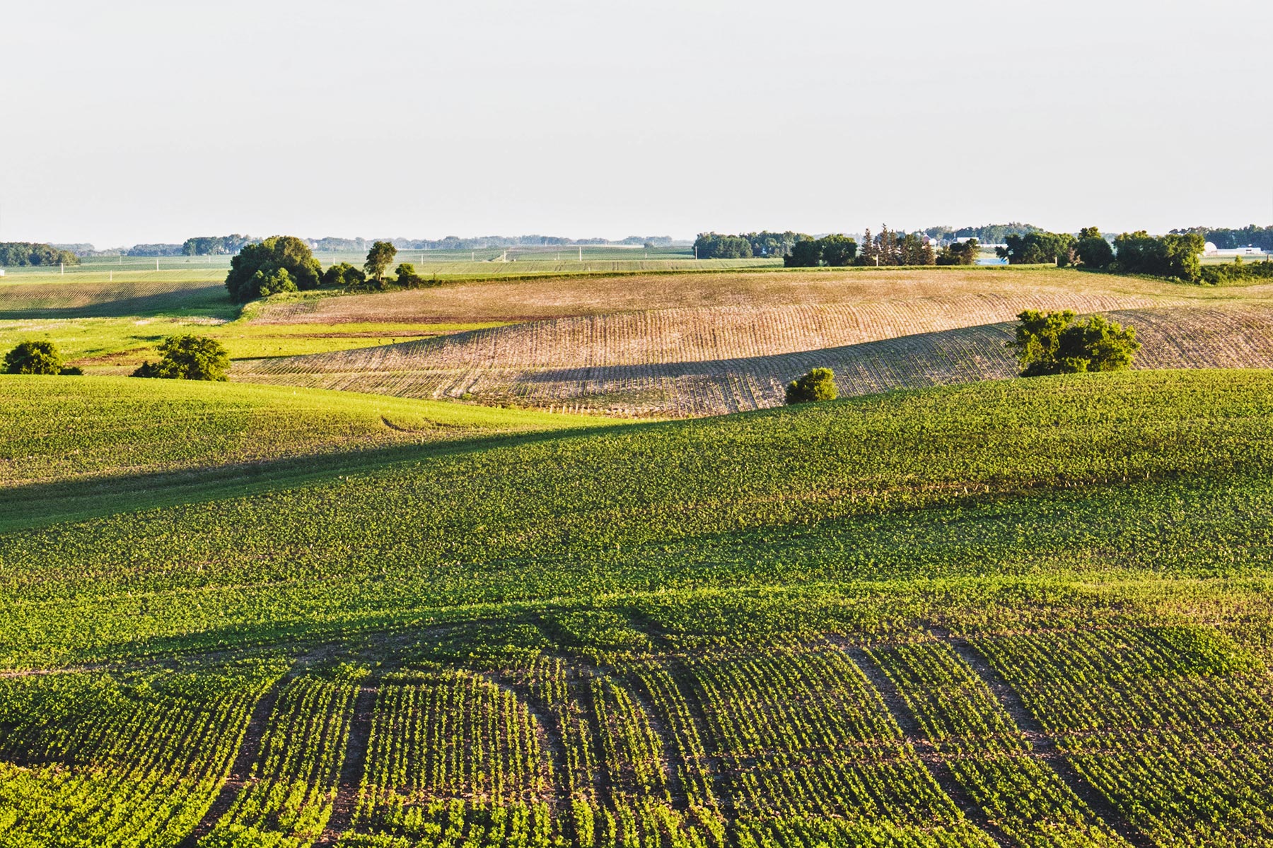 Ілюстративне фото