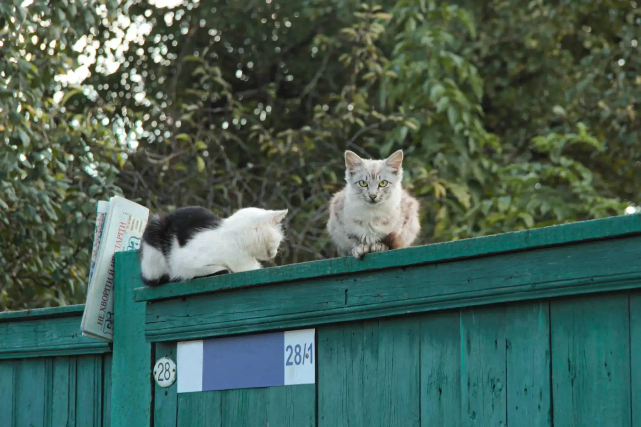 Ілюстративна світлина