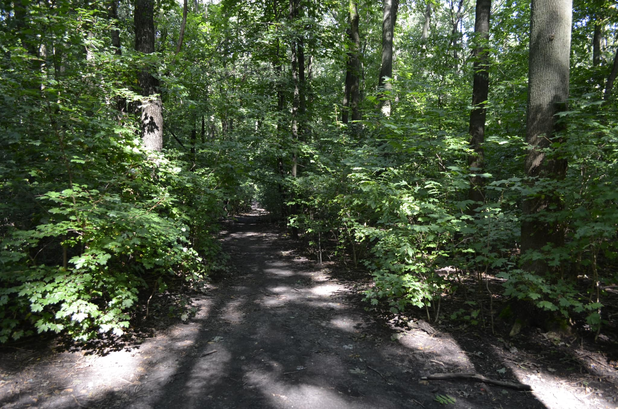 image_2023-09-20_16-16-22