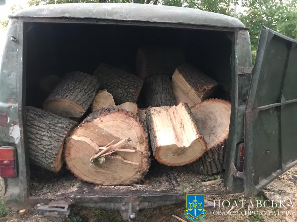 Дерева крали