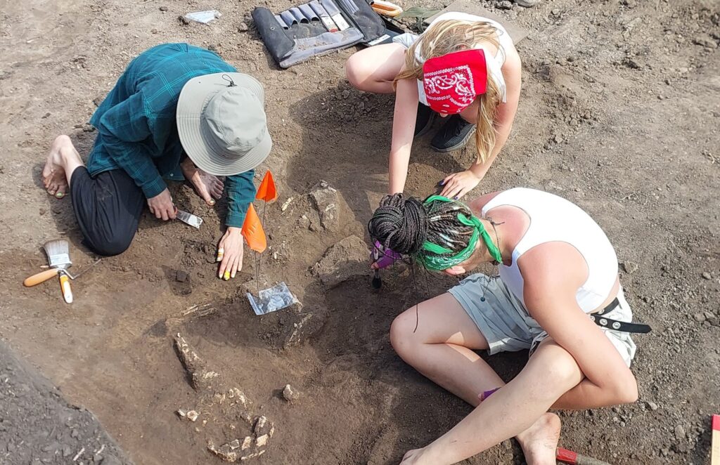 Кургани розкопали 