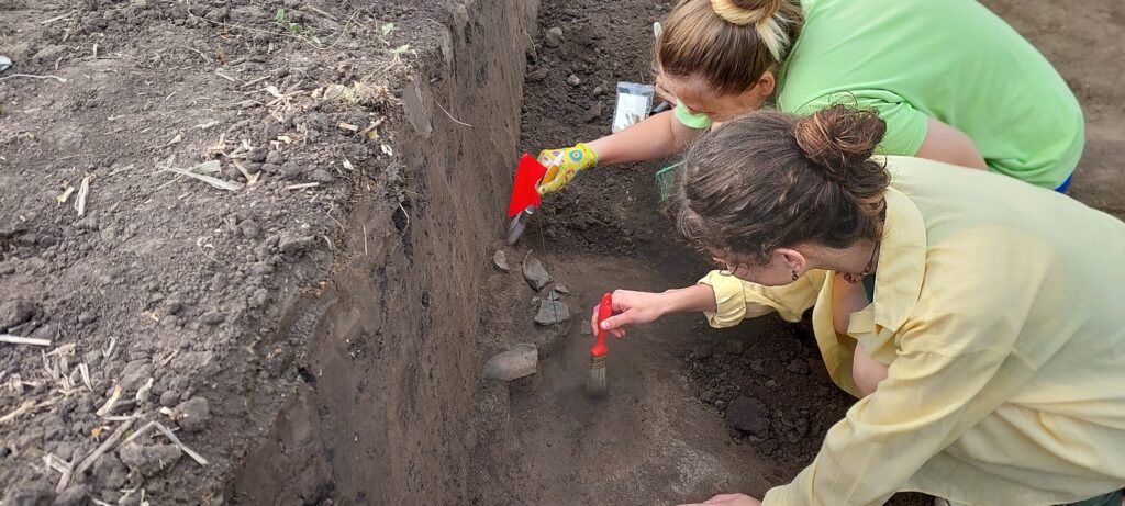 Кургани розкопали 