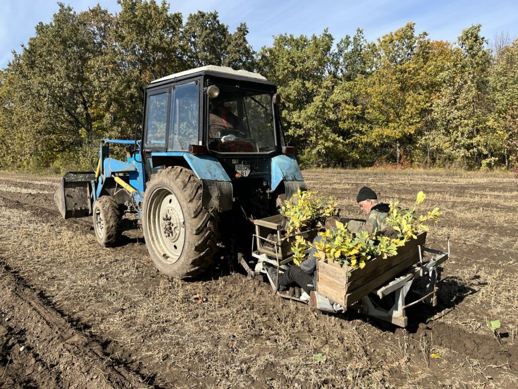 Ліси висадять на Полтавщині