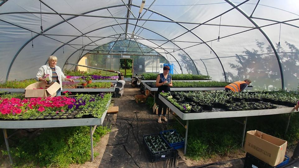 Ілюстративне фото