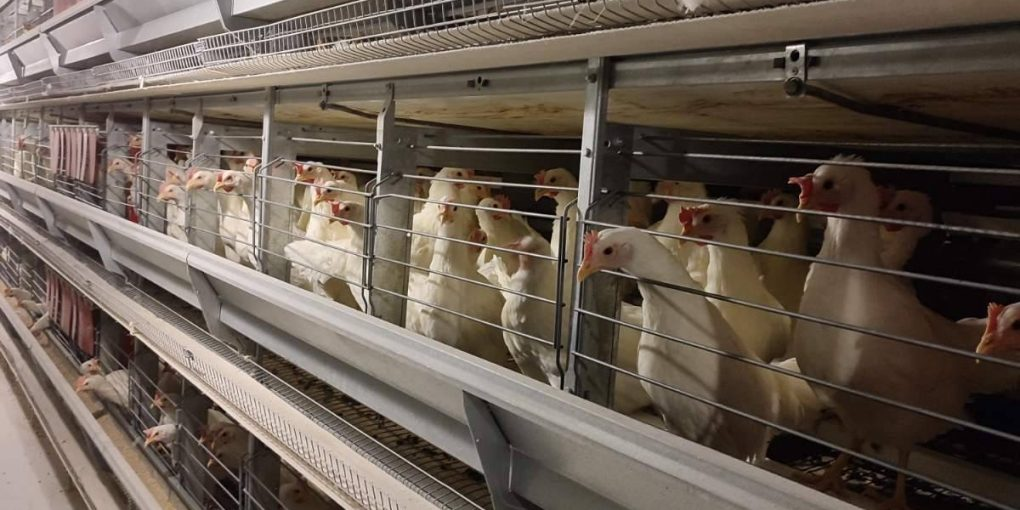 Ілюстративне фото