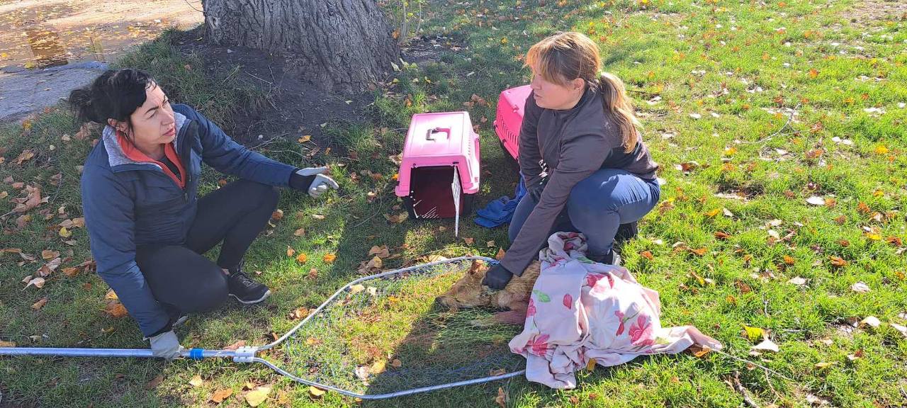 photo_2023-10-21_14-14-17