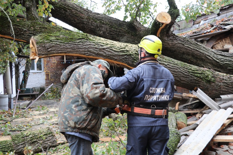 Ліквідація аварійного дерева, яке впало