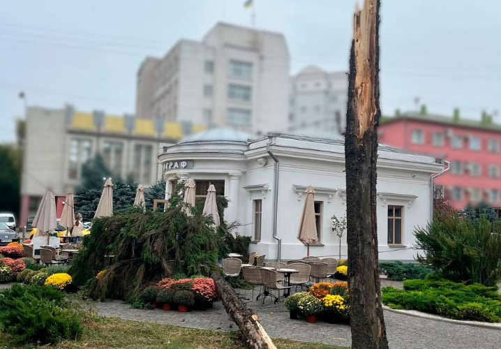 image_2023-11-30_12-51-23