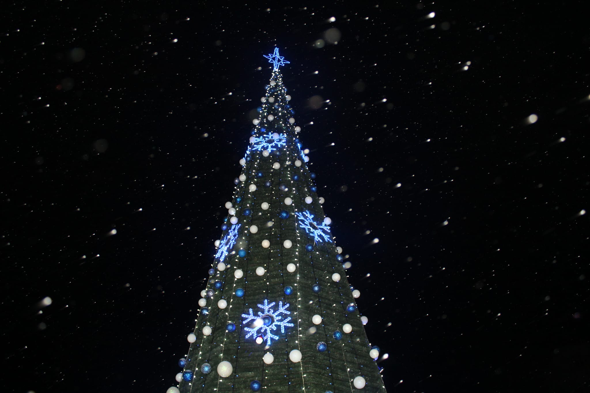 Ілюстративне фото. Новорічна ялинка у Решетилівці у 2021 році