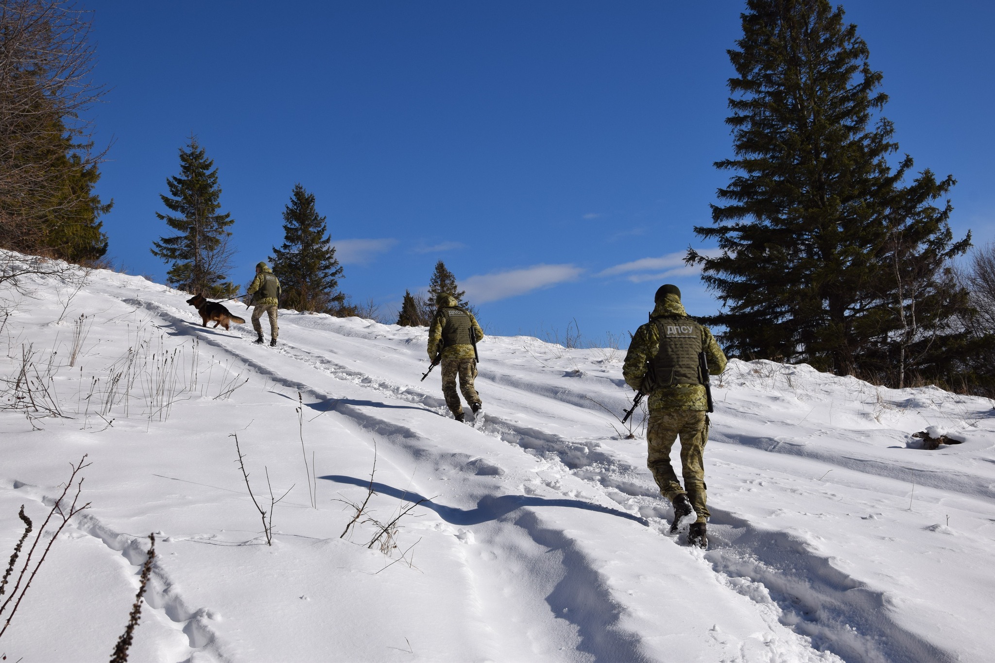 Ілюстративне фото