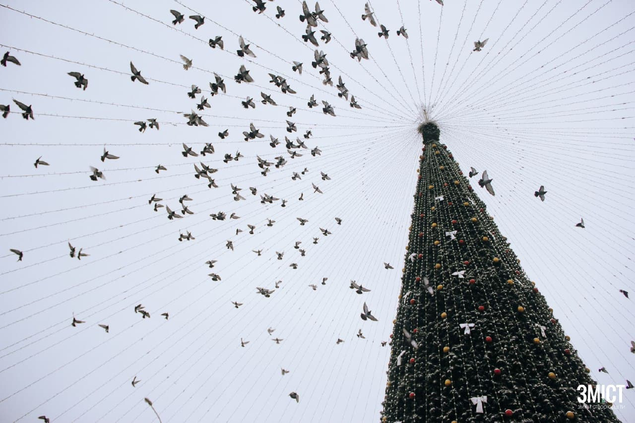 Новорічна ялинка в Полтаві