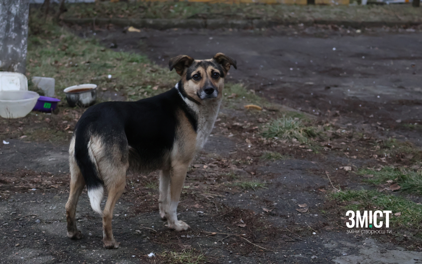 Ілюстративне фото