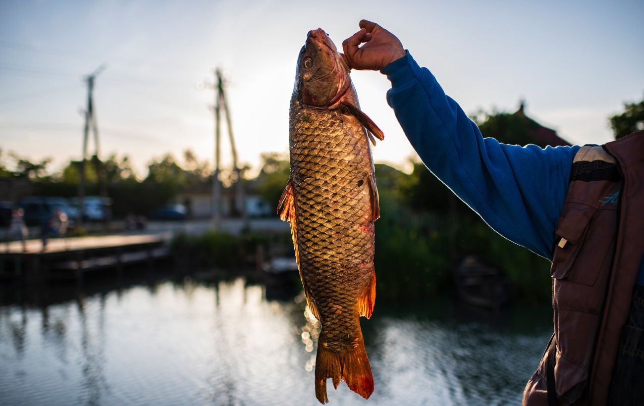 Ілюстративне фото