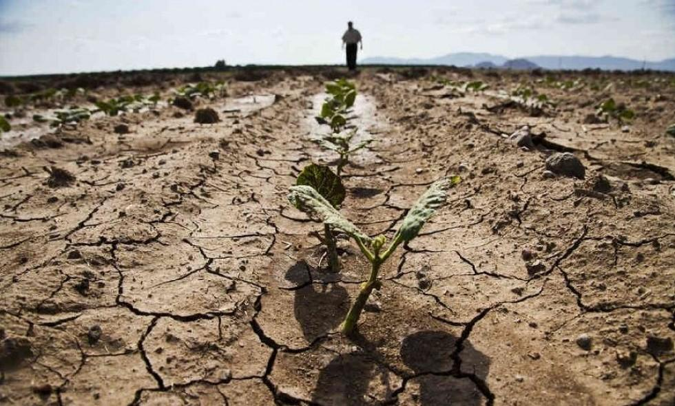 Ілюстративне фото