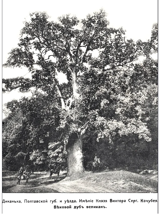 Кочубеївські дуби