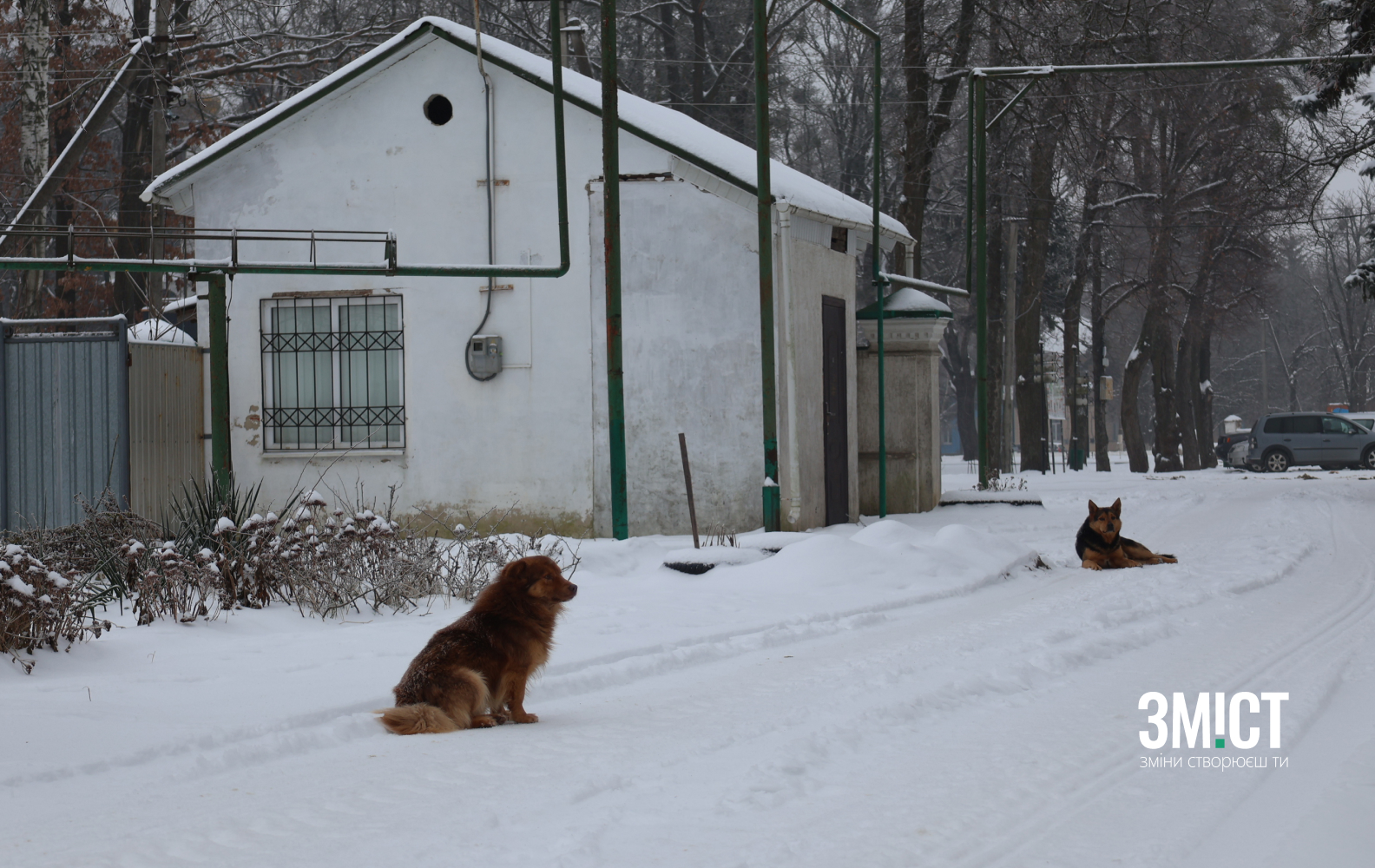 Ілюстративне фото