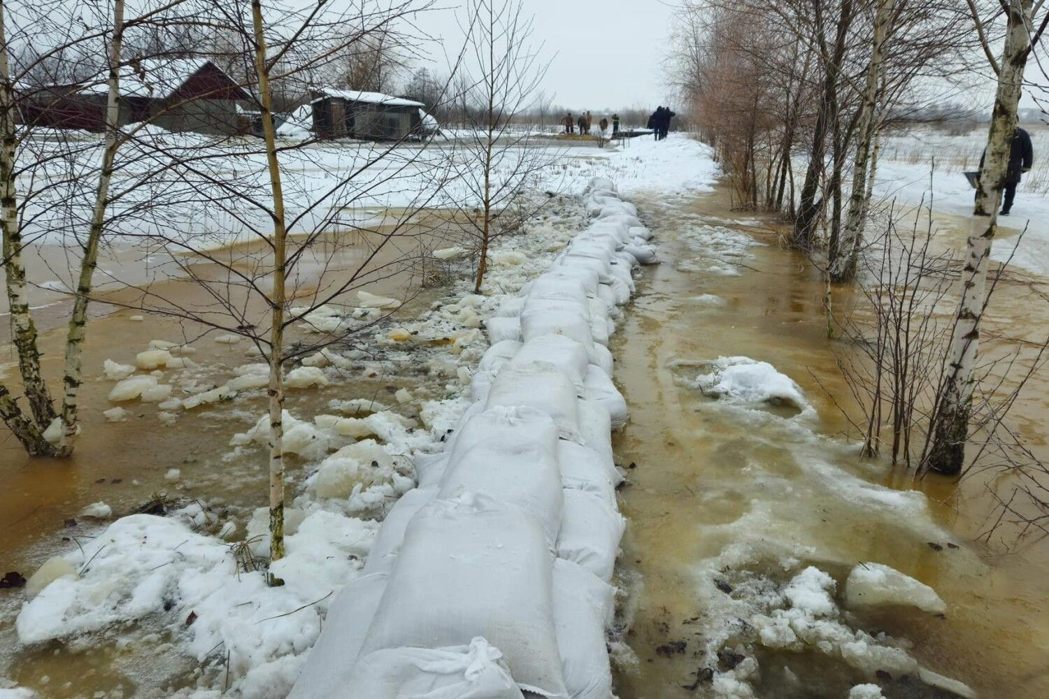 Ілюстративне фото