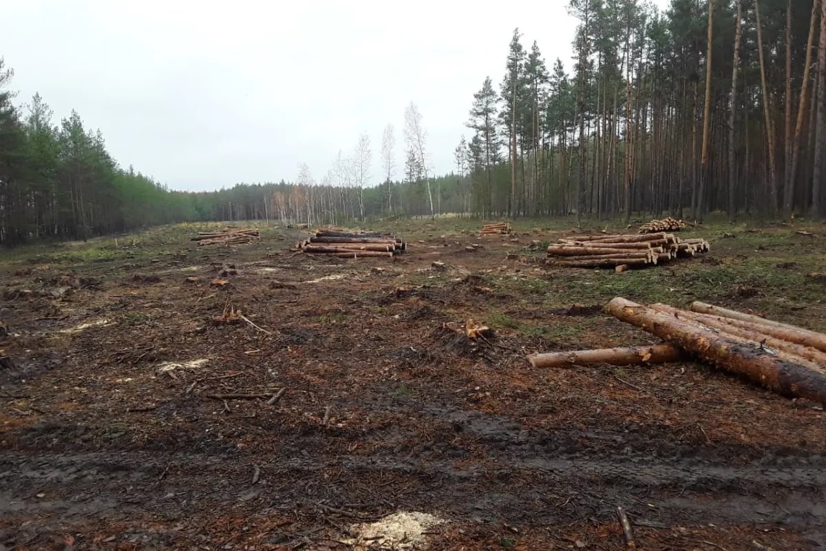 Ілюстративне фото