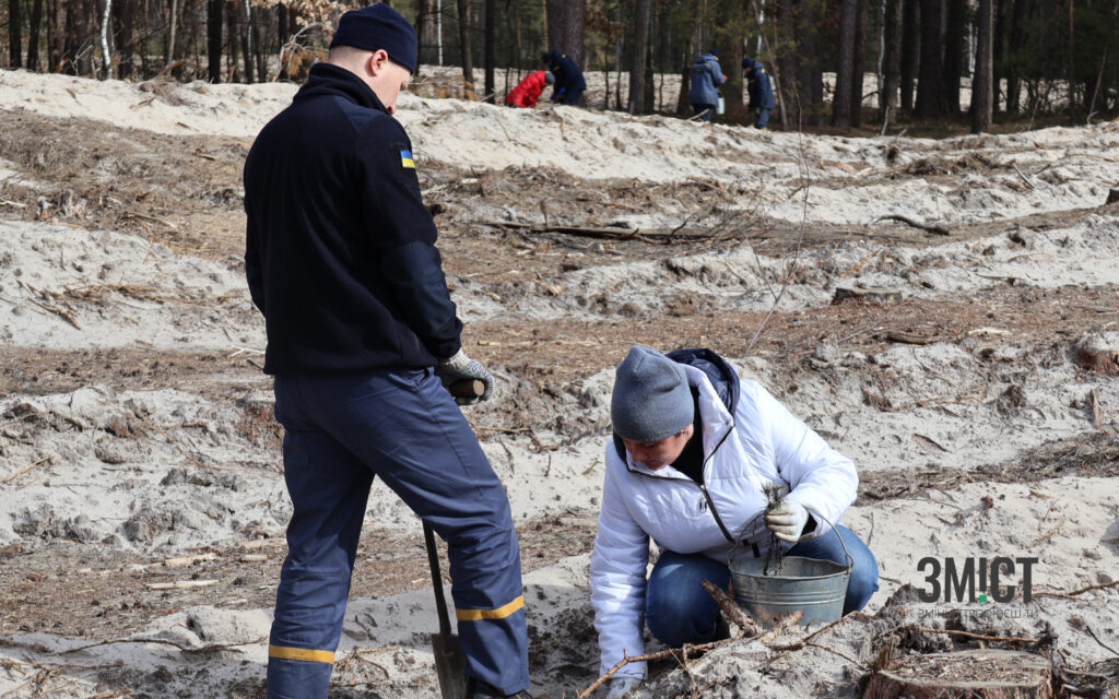 Лісництва Полтавщини