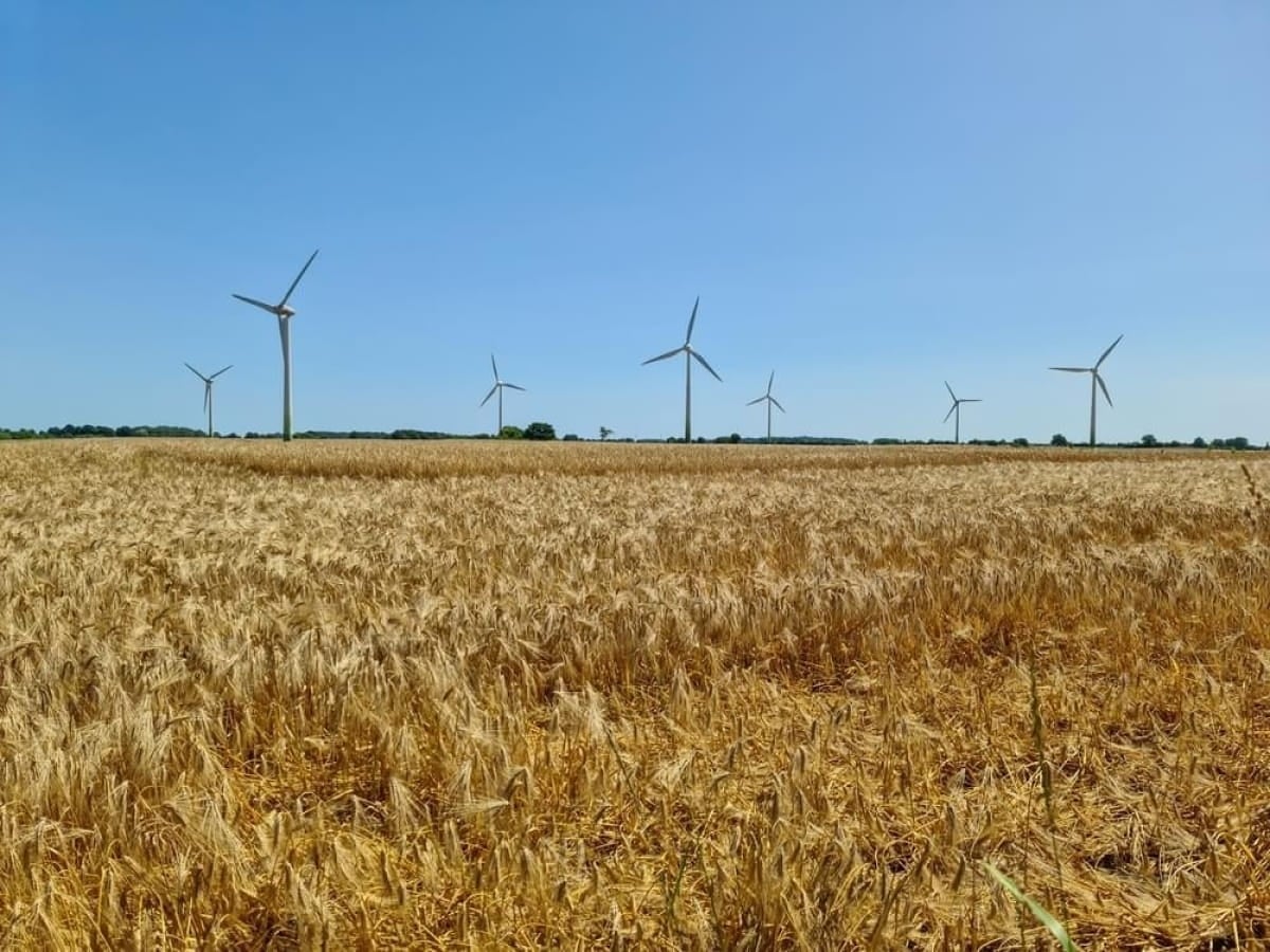 Ілюстративне фото