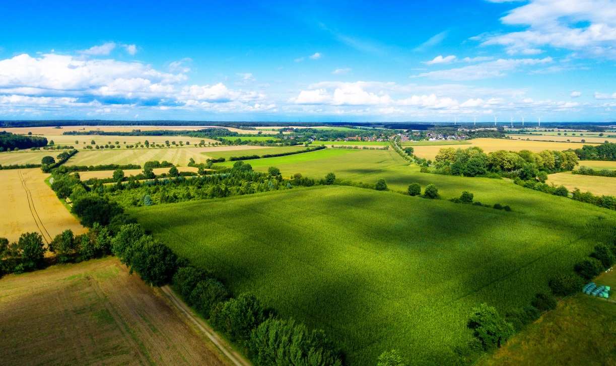 Ілюстративне фото