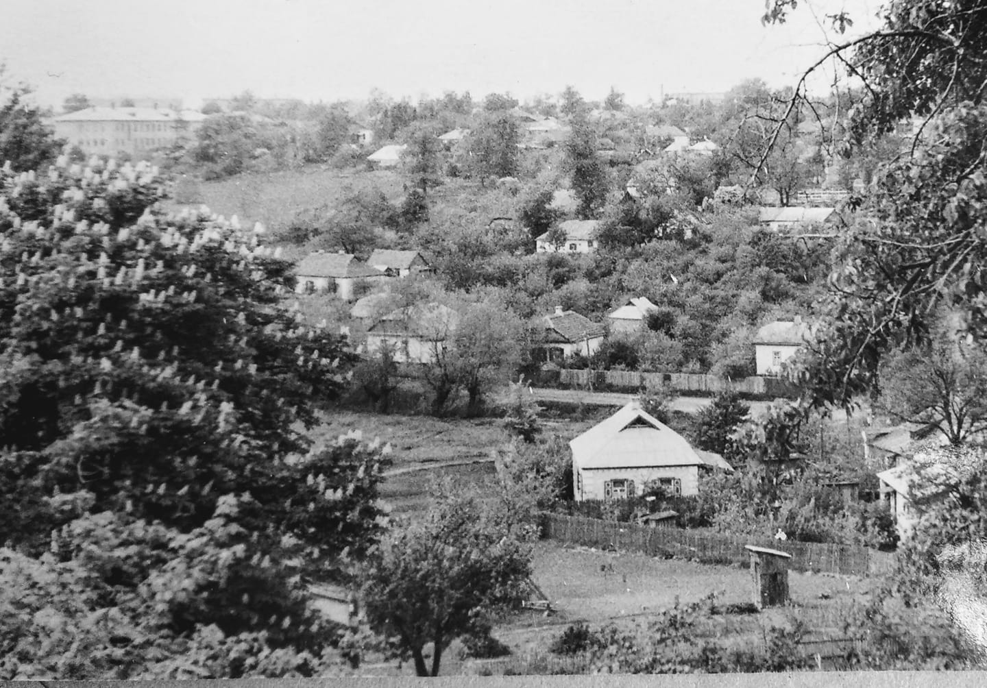 Павленки на рубежі 1950-1960-х років