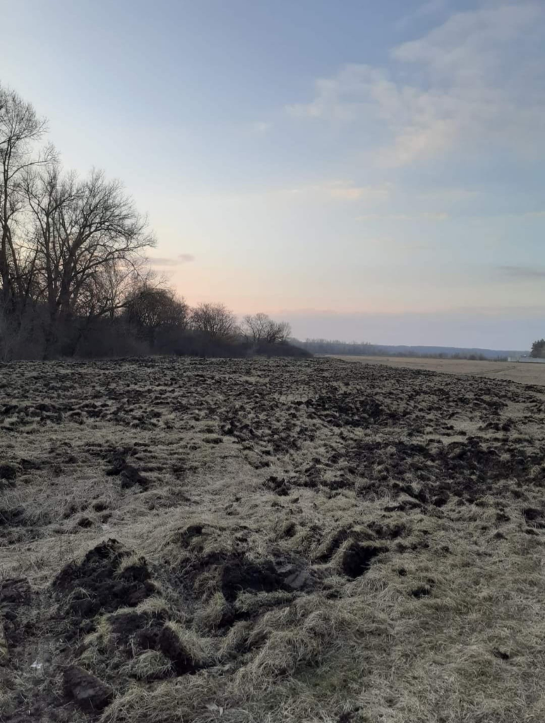 пасовища під Новими Санжарами