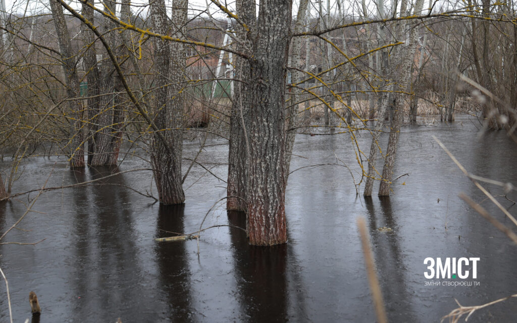 підтоплення села Сем’янівка 