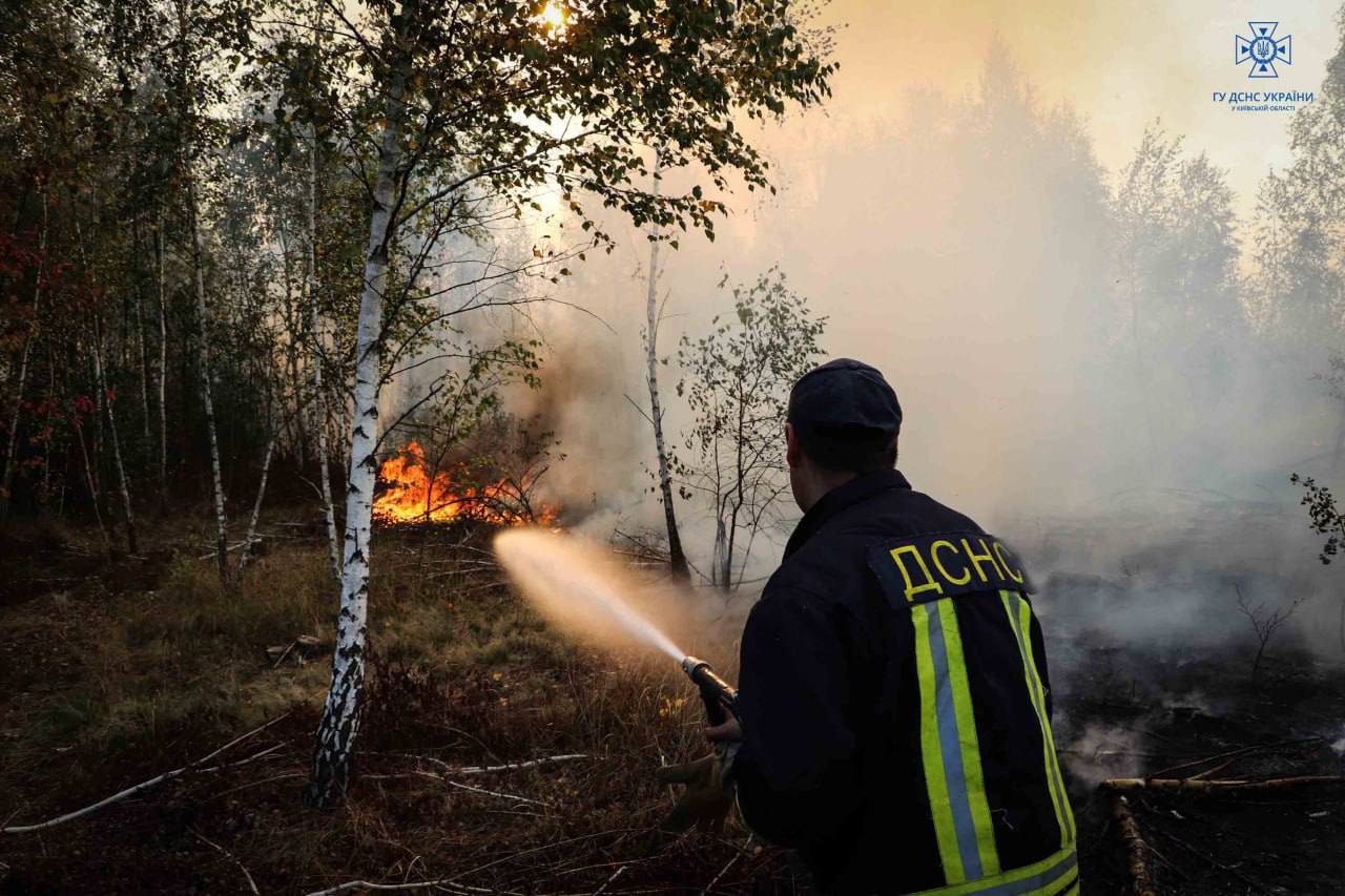 Ілюстративне фото