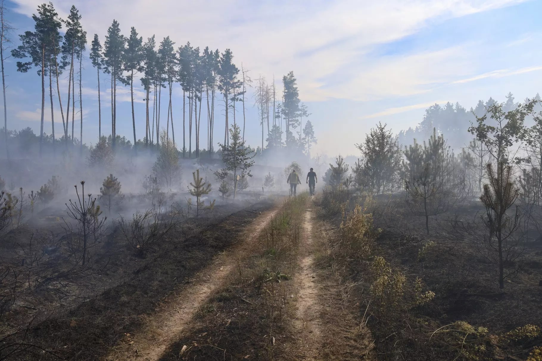 Ілюстративне фото