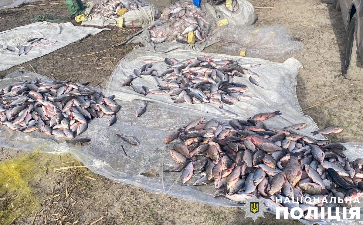 Ілюстративне фото. Незаконно виловлена риба