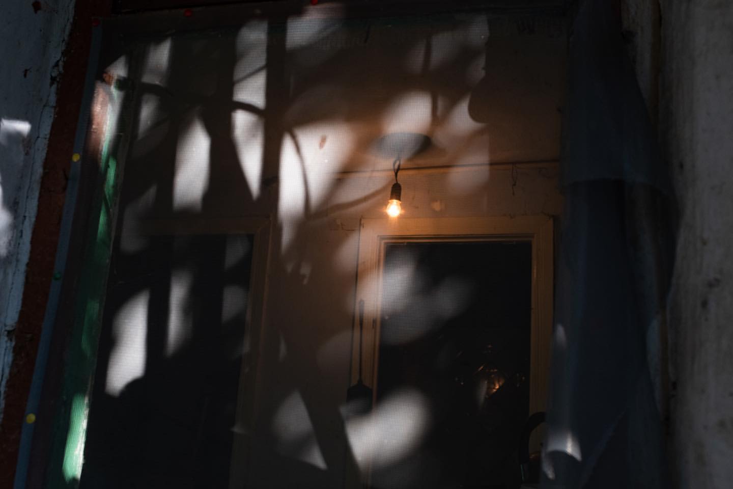 Ілюстративне фото