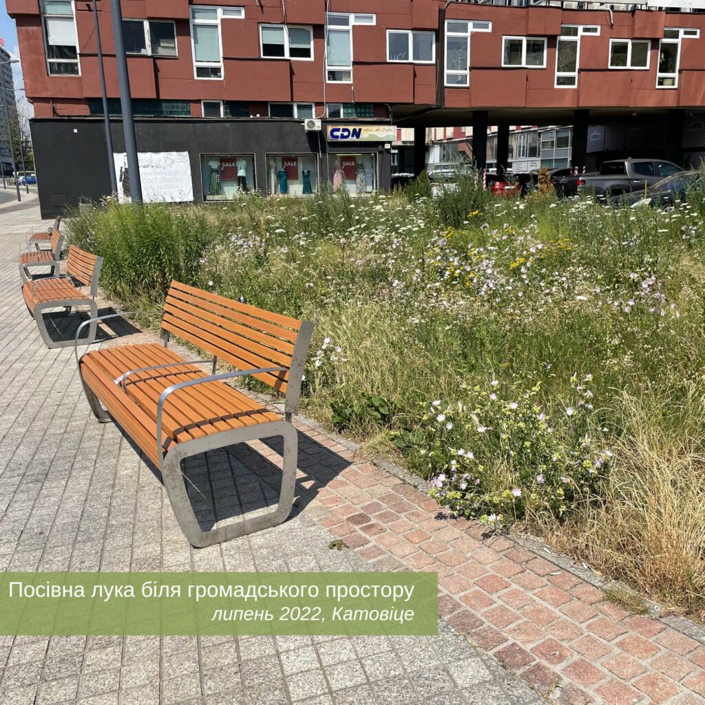 Міські луки