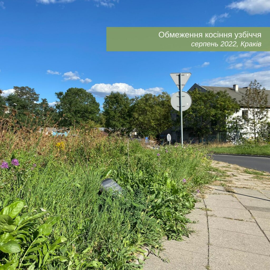 Міські луки