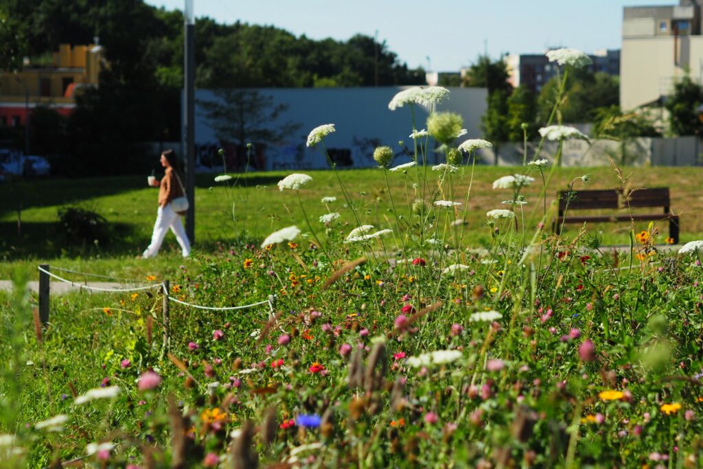 Міські луки