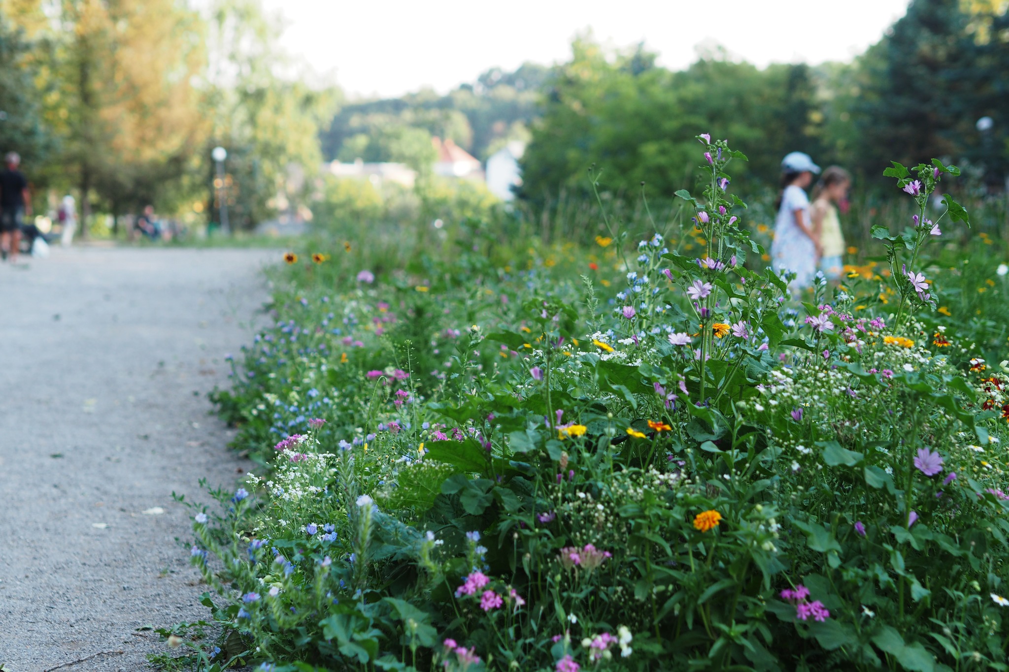 Ілюстративне фото. Міські луки у Вінниці