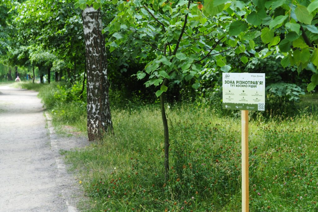 Міські луки