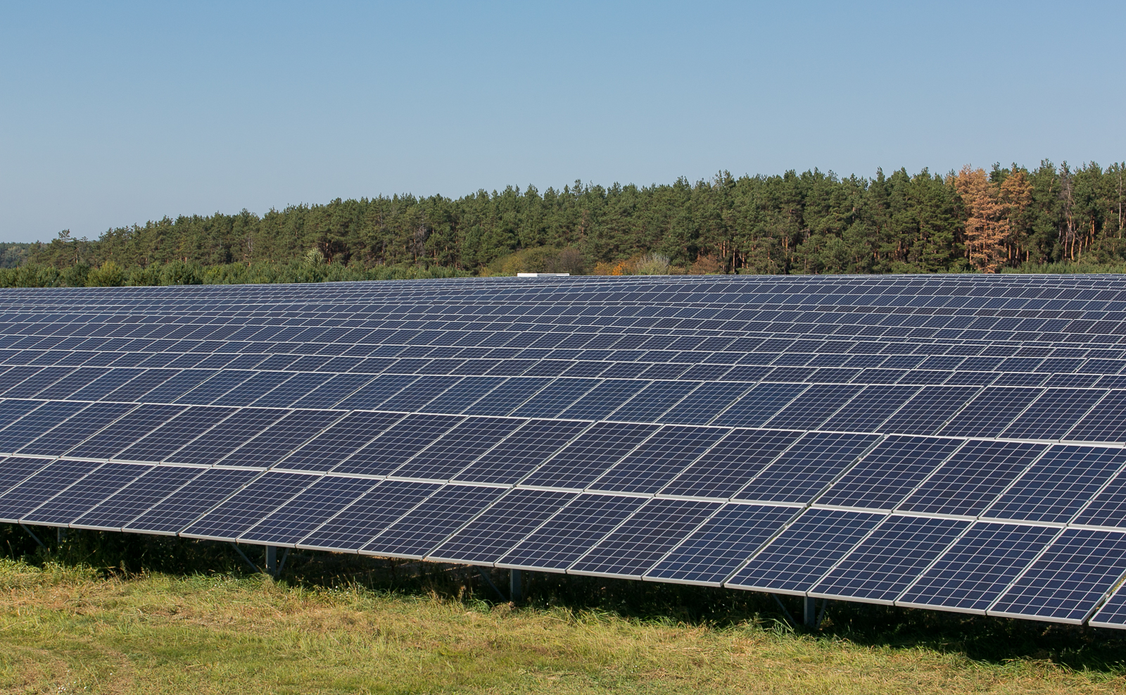 Ілюстративне фото