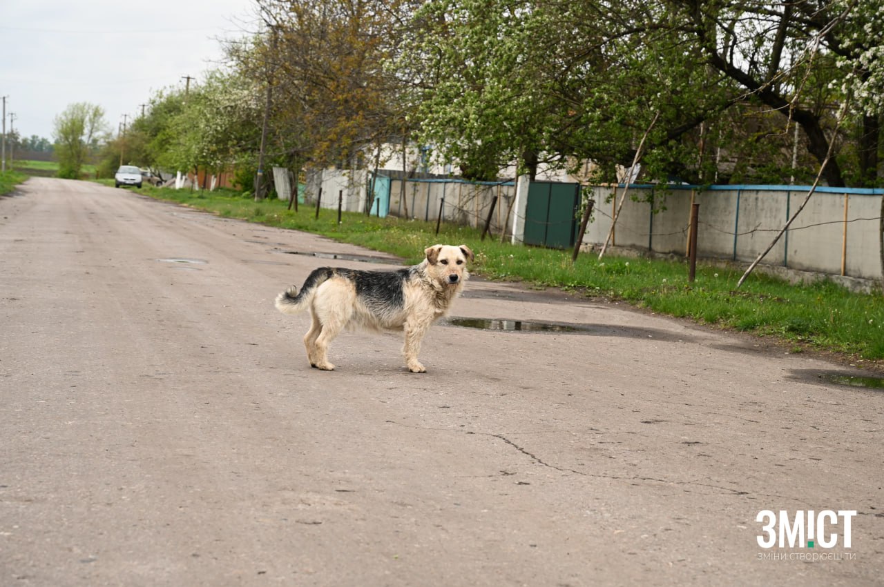 Ілюстративне фото