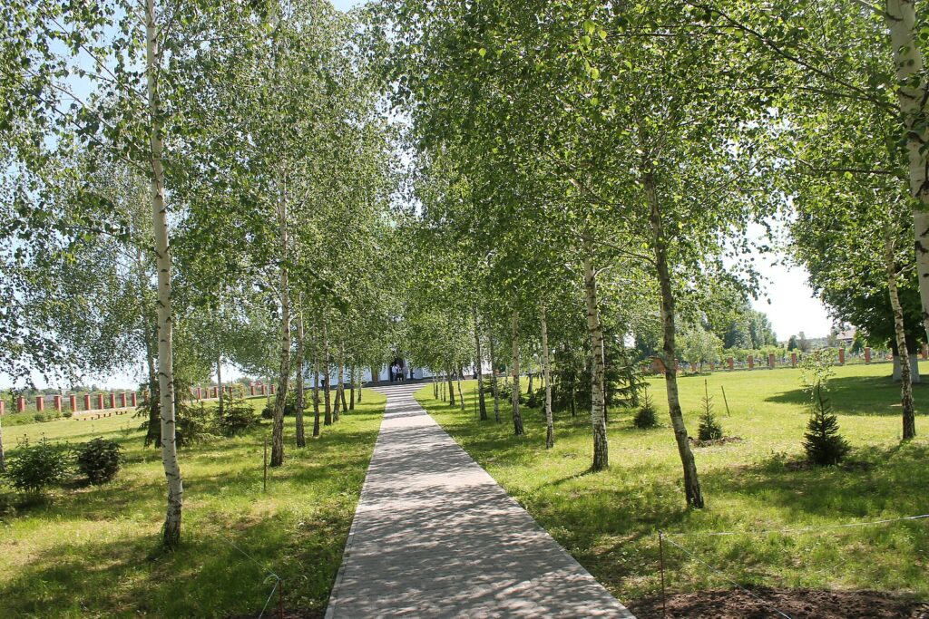 Деякі з цікавих фактів про парк «Диканський»: Він був заснований у 1981 році. Загальна площа парку становить 11 770 гектарів. На території парку знаходиться понад 200 видів рослин і тварин. У парку є багато історичних та культурних пам'яток, таких як садиба Кочубеїв, Троїцька церква та Меморіальний комплекс пам'яті жертв Чорнобильської катастрофи. Парк «Диканський» – популярне місце для відпочинку та туризму. Тут можна пішки ходити, їздити на велосипеді, рибалити, кататися на човні та просто насолоджуватися природою. Як дістатися до парку «Диканський»: Парк розташований у селищі Диканька, Полтавської області, Україна. До Диканьки можна дістатися автобусом або поїздом з Полтави та інших міст України. Відстань від Полтави до Диканьки становить близько 30 кілометрів.