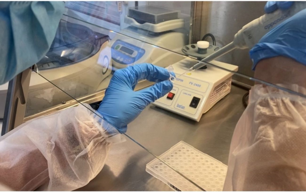 Ілюстративне фото