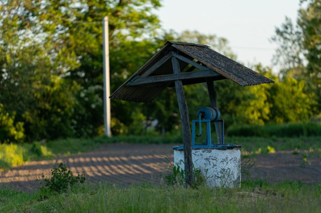 Лелеки Грицько та Одарка Фото – «Українська правда»