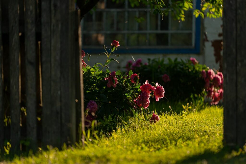 Леляки – село відомих лелек