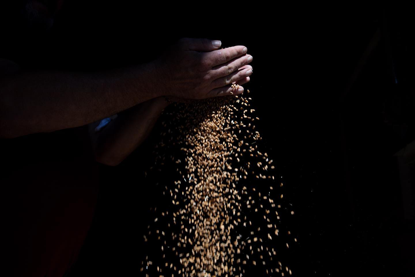 Ілюстративне фото