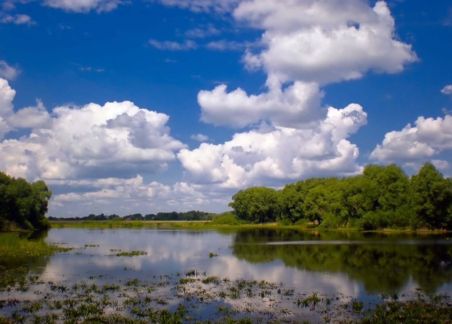 Річка Удай в межах природного парку «Пирятинський»