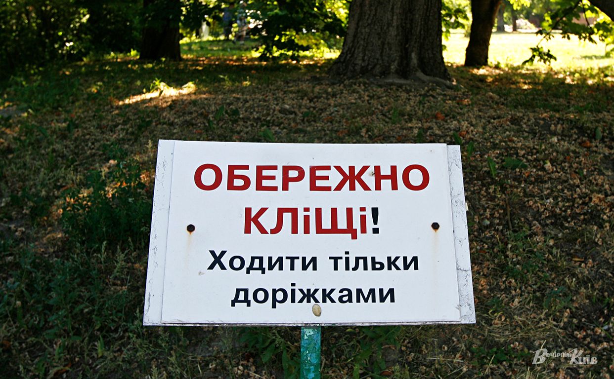 Ілюстративне фото