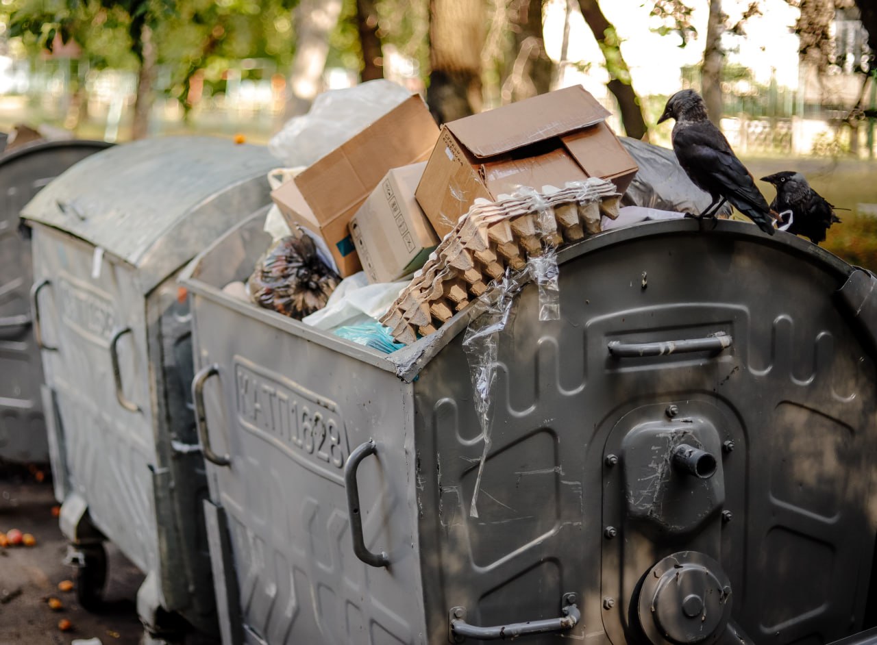 Сміттєві баки в Полтаві