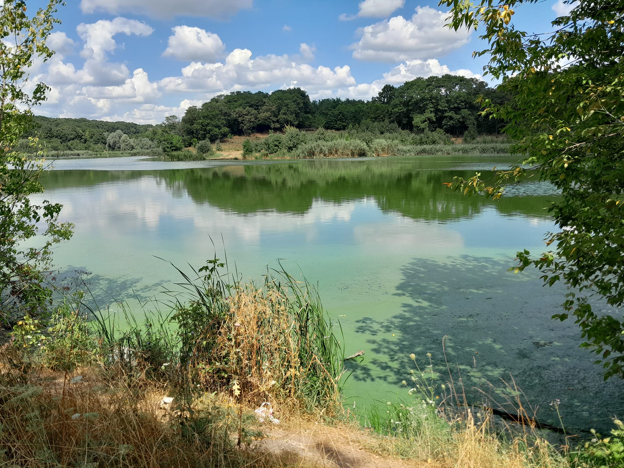 Пушкарівські ставки