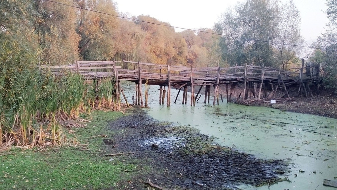 Ілюстративне фото. Річка на Чернігівщині