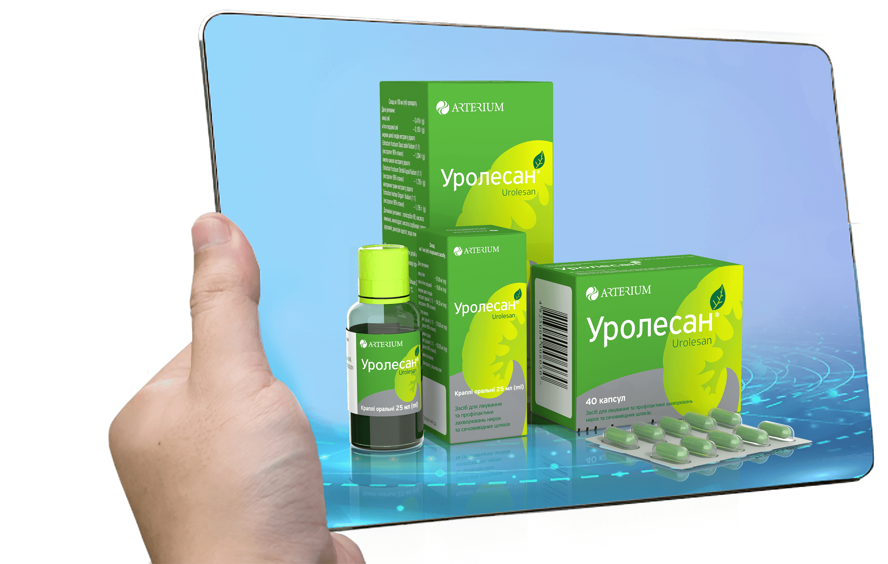 image_2024-08-31_11-20-06